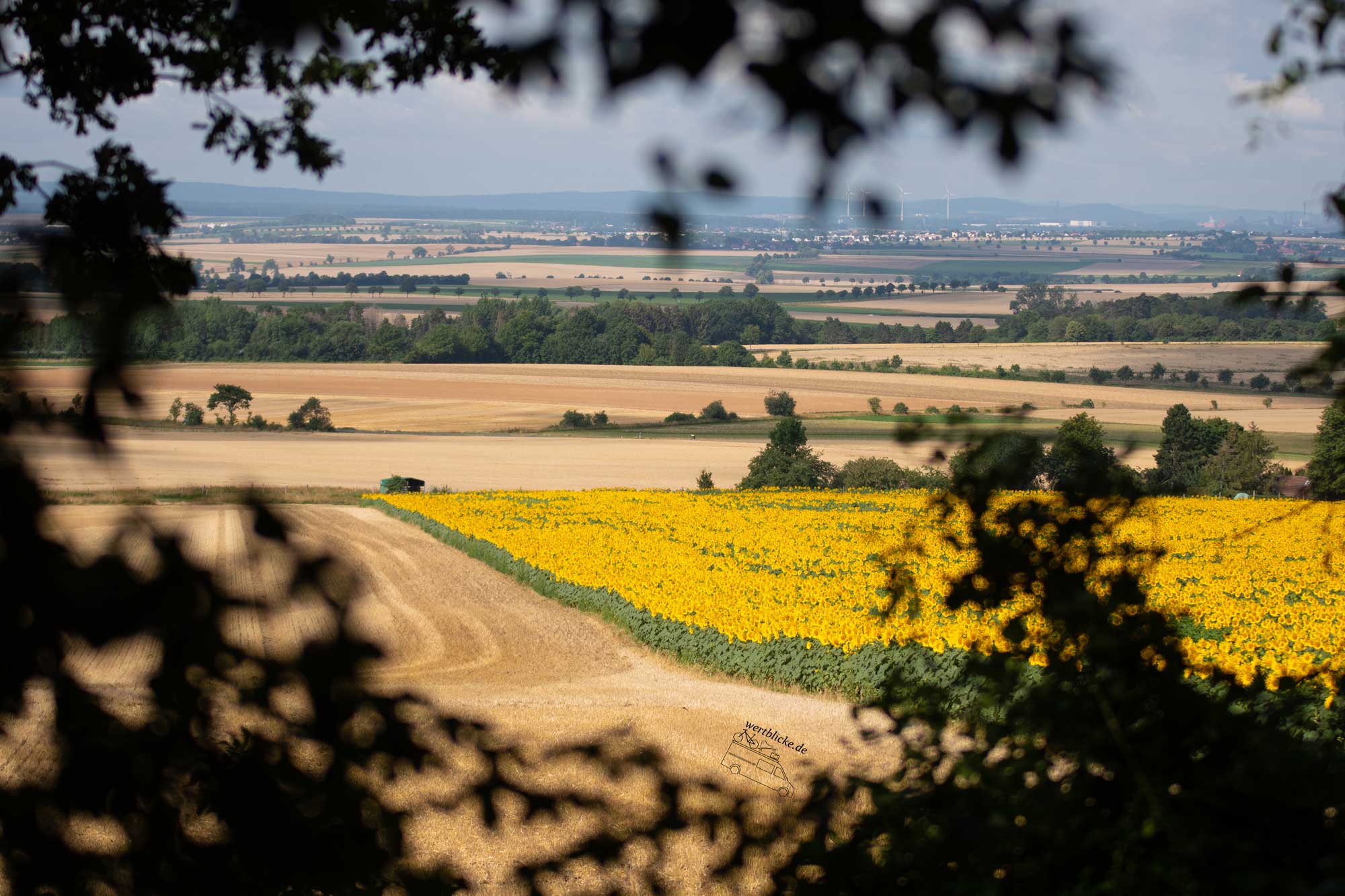 AUsblick in Evessen beim Wandern im Elm-Lappwald